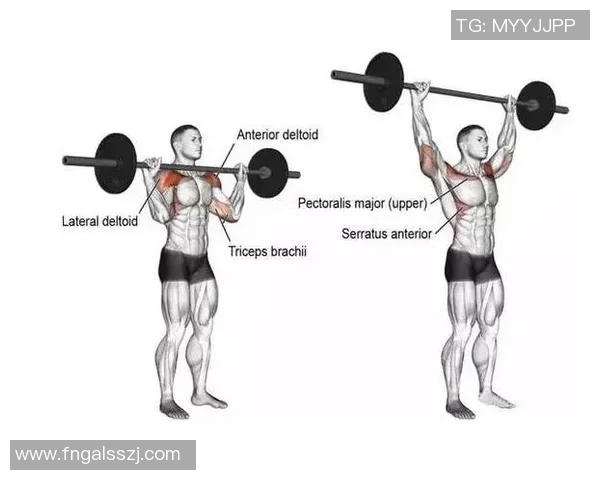 哑铃训练胸肌的高效方法快速提升力量与线条的技巧分享